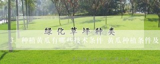 种植黄瓜有哪些技术条件 黄瓜种植条件及管理技术有