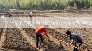 二十四节气种菜顺口溜(24节气种菜表及口诀查询)