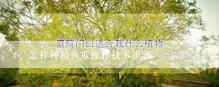 怎样种植黄瓜操作技术步骤