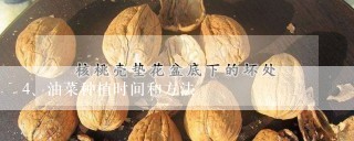 油菜种植时间和方法