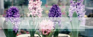 纯绿色蔬菜的种植技术？