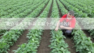 我喜欢水果和蔬菜取个什么网名好