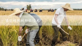 矮化核桃树种植技术