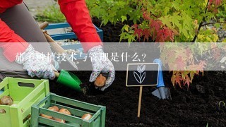 茄子种植技术与管理是什么？