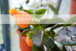 什么蔬菜含钙最高？