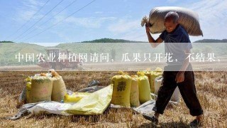 中国农业种植网请问，瓜果只开花，不结果，咋办？
