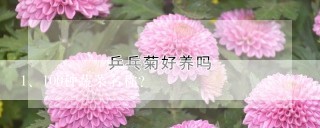 100种蔬菜名称？