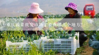 重庆蔬菜批发市场主要在哪几个地方?