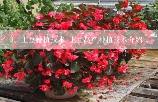 土豆种植技术 土豆高产种植技术介绍