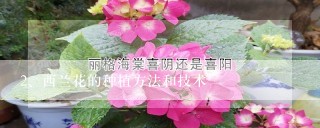 西兰花的种植方法和技术