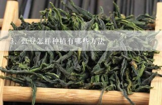 豇豆怎样种植有哪些方法