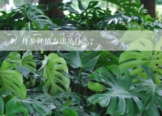 丹参种植方法是什么？