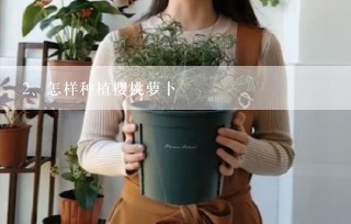 怎样种植樱桃萝卜