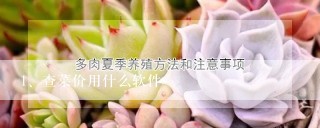 查菜价用什么软件