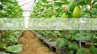 中国最大的蔬菜批发市场在哪?