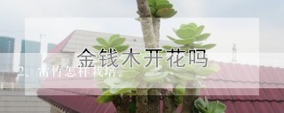 雷竹怎样栽培。
