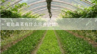 紫色蔬菜有什么营养价值