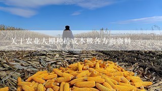 关于农业大棚种植成本极各方面资料