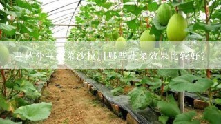 #秋补#蔬菜沙拉用哪些蔬菜效果比较好？