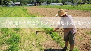 10亩连栋大棚造价多少，10亩连栋大棚造价多少