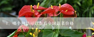 哪个网站可以查看全国蔬菜价格