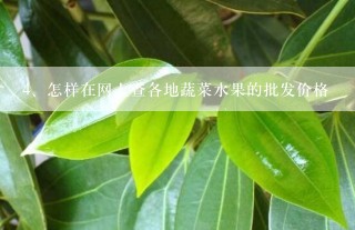 怎样在网上查各地蔬菜水果的批发价格