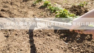 寿光大棚黄瓜的种植技术在网上哪里可以找到详细的资料