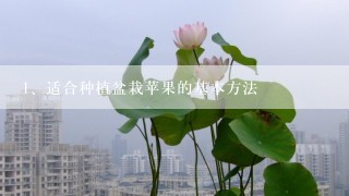 适合种植盆栽苹果的基本方法