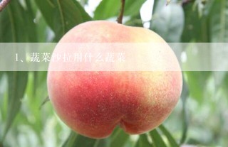 蔬菜沙拉用什么蔬菜