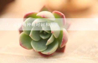 云豆角种植时间和方法