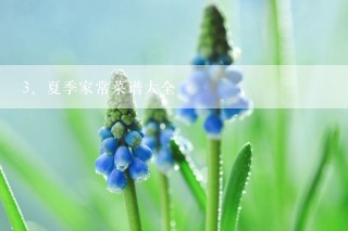 夏季家常菜谱大全