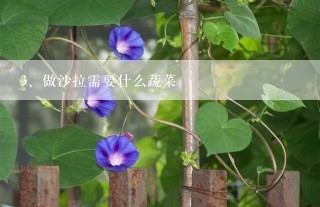 做沙拉需要什么蔬菜