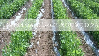 外研版小学英语(三起)三年级下册单词表(含音标)