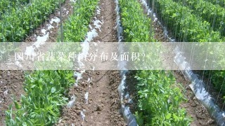 四川省蔬菜种植分布及面积？