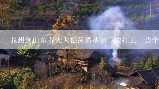 我想到山东寿光大棚蔬菜基地一边打工一边学技术