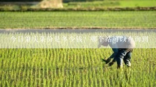 今日肇庆菜价是多少钱？哪个站可以查询到