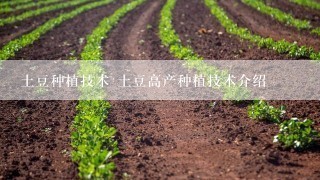 土豆种植技术 土豆高产种植技术介绍