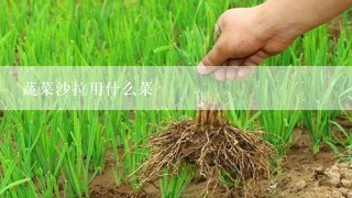 蔬菜沙拉用什么菜