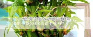 家庭小炒500款菜谱有哪些？