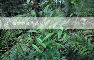 家常炒菜菜谱大全