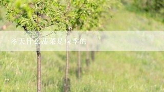 冬天什么蔬菜是应季的