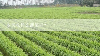 冬天吃什么蔬菜好?