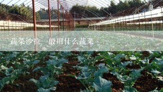 蔬菜沙拉一般用什么蔬菜