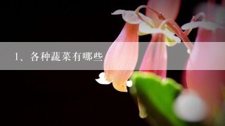 各种蔬菜有哪些