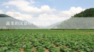 蔬菜的汉语拼音怎么拼