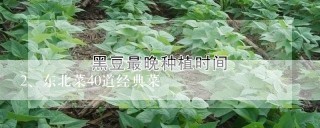 东北菜40道经典菜