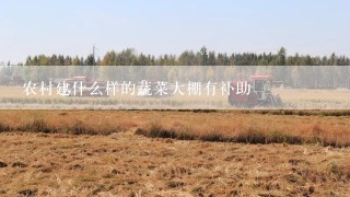 农村建什么样的蔬菜大棚有补助