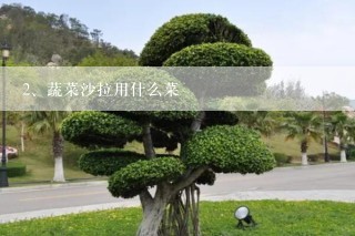 蔬菜沙拉用什么菜