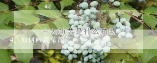 如何画蔬菜简笔画？