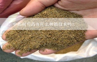 中药材芍药有什么种植技术吗？